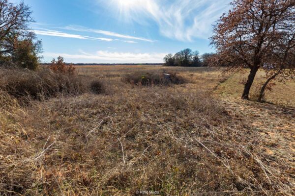 Property photograph 01