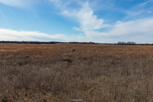 Property photograph 01