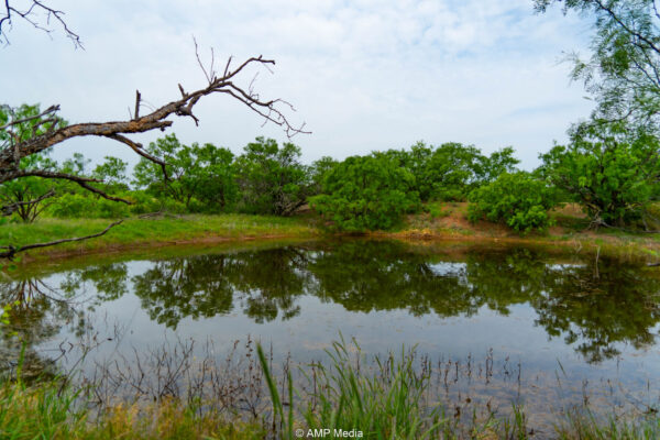 Property photograph 01