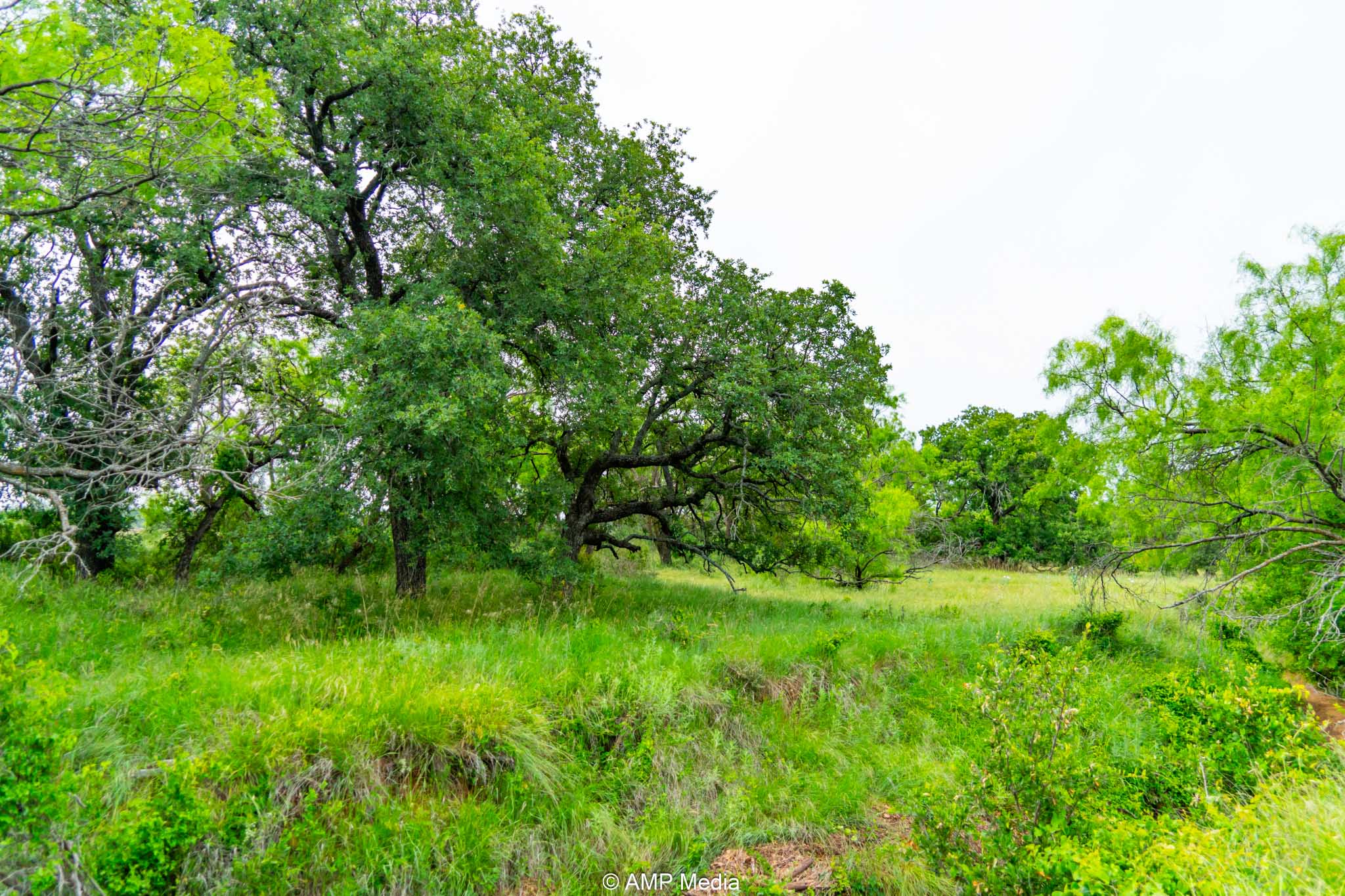 Property Photo 11 Property photograph 11