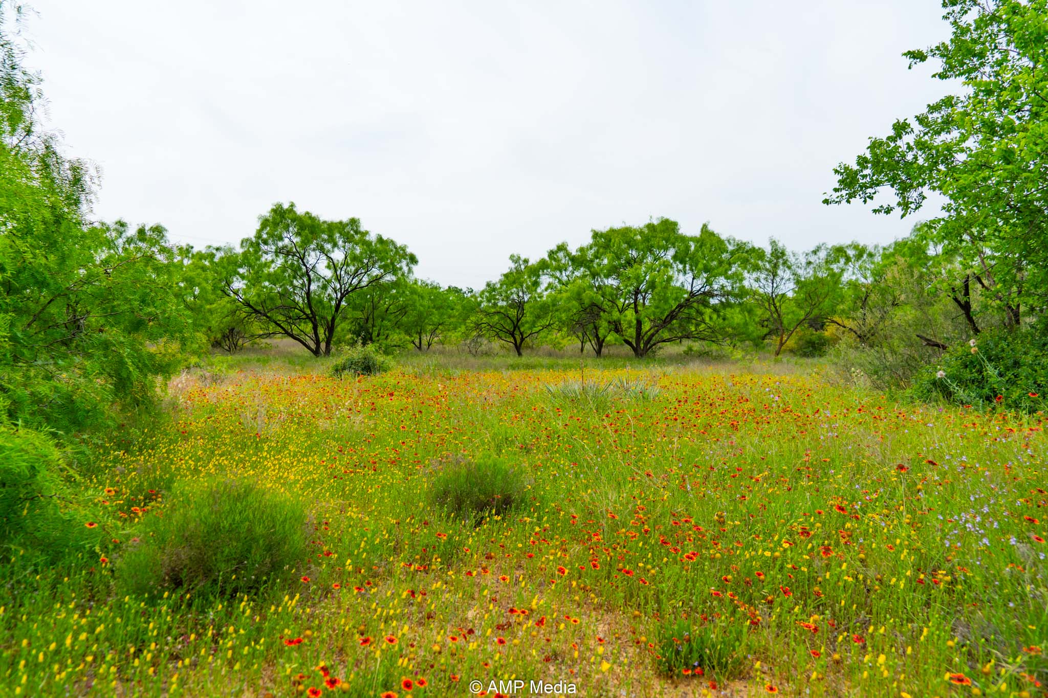 Property Photo 12 Property photograph 12