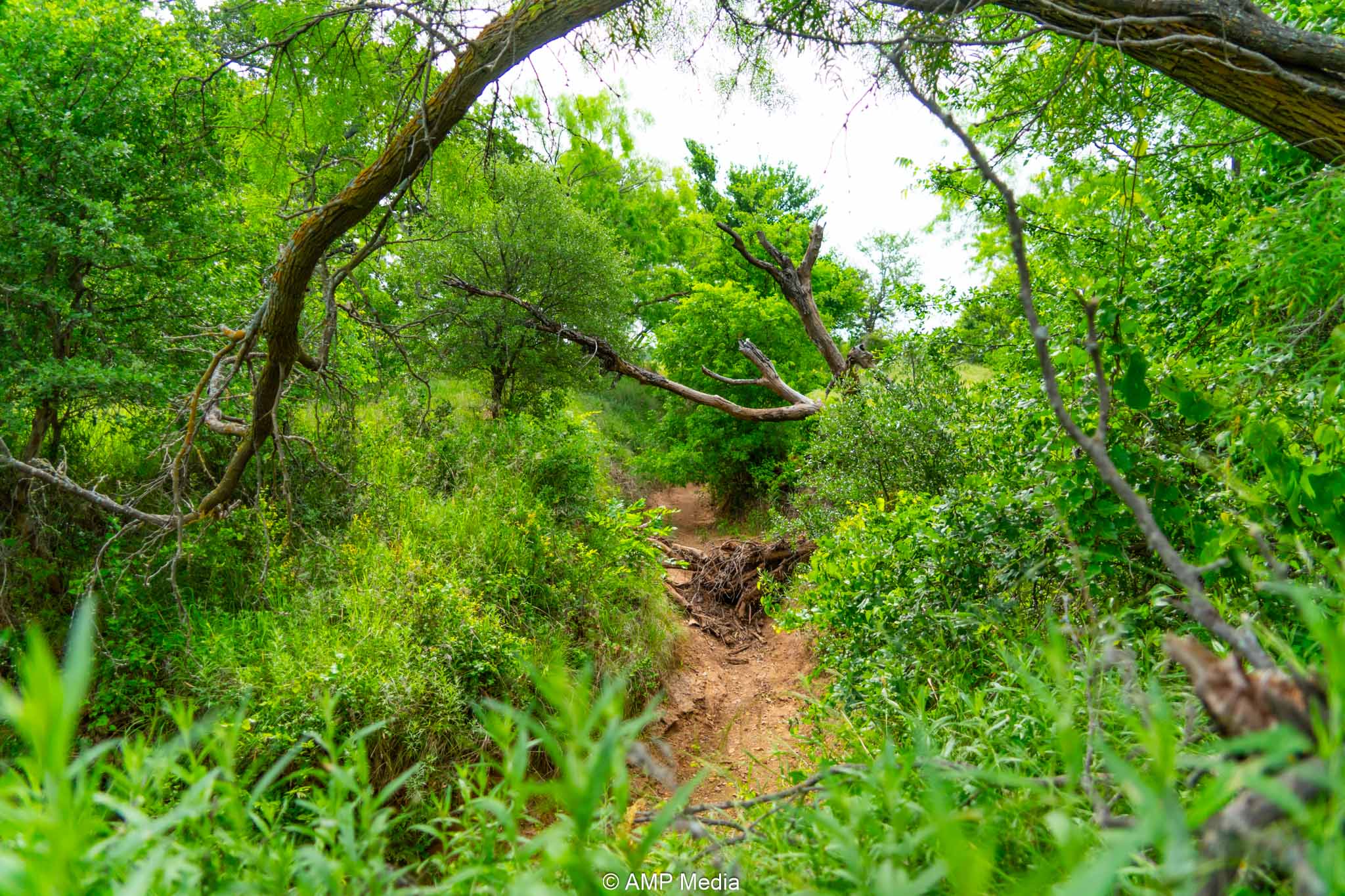 Property Photo 13 Property photograph 13