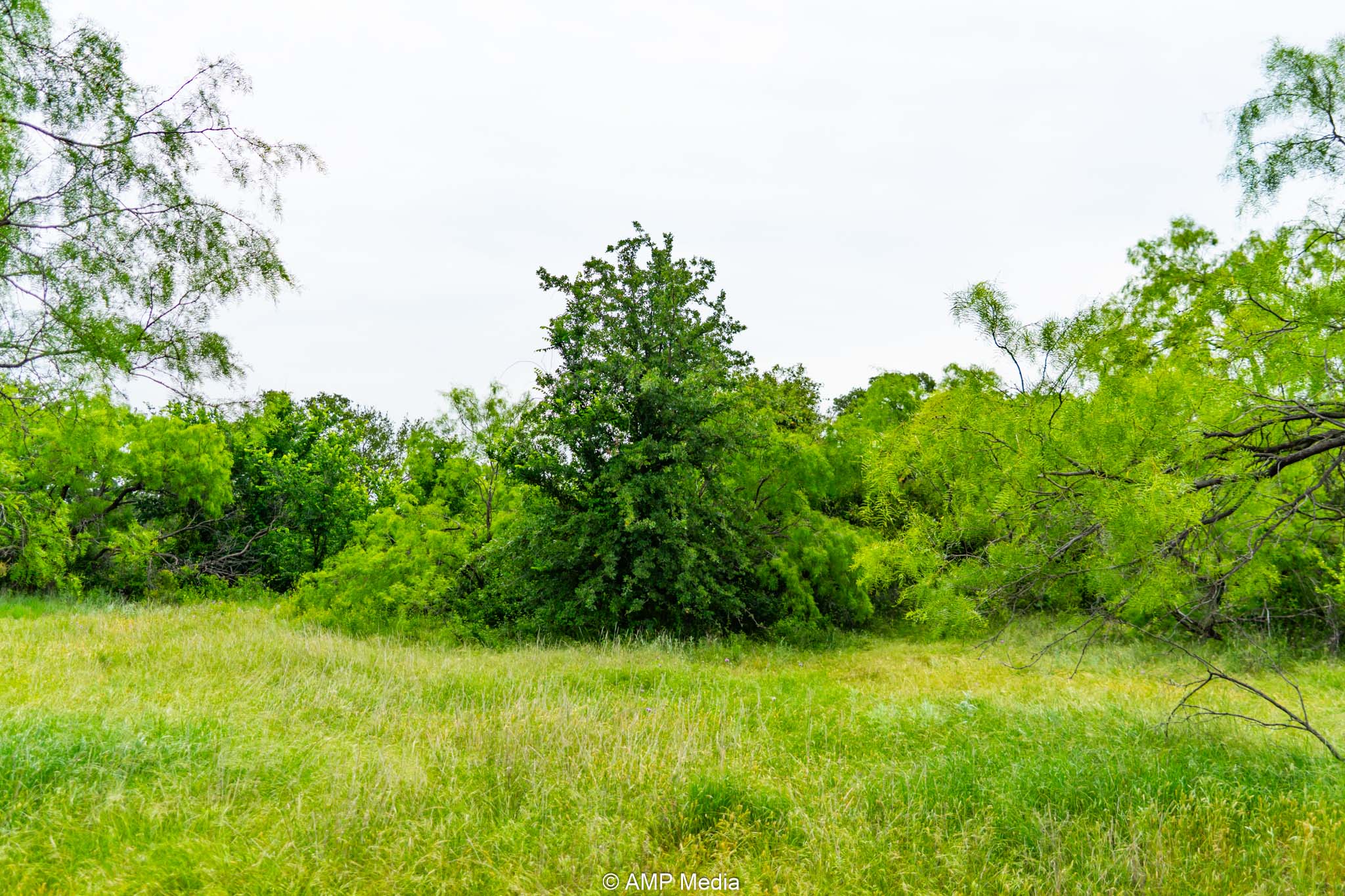 Property Photo 16 Property photograph 16