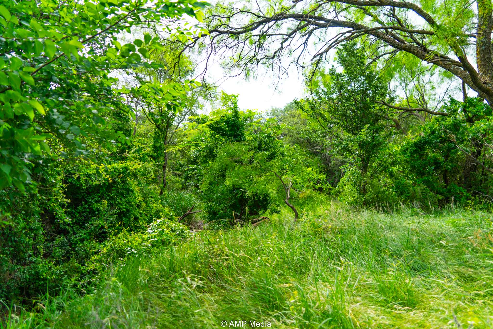 Property Photo 17 Property photograph 17