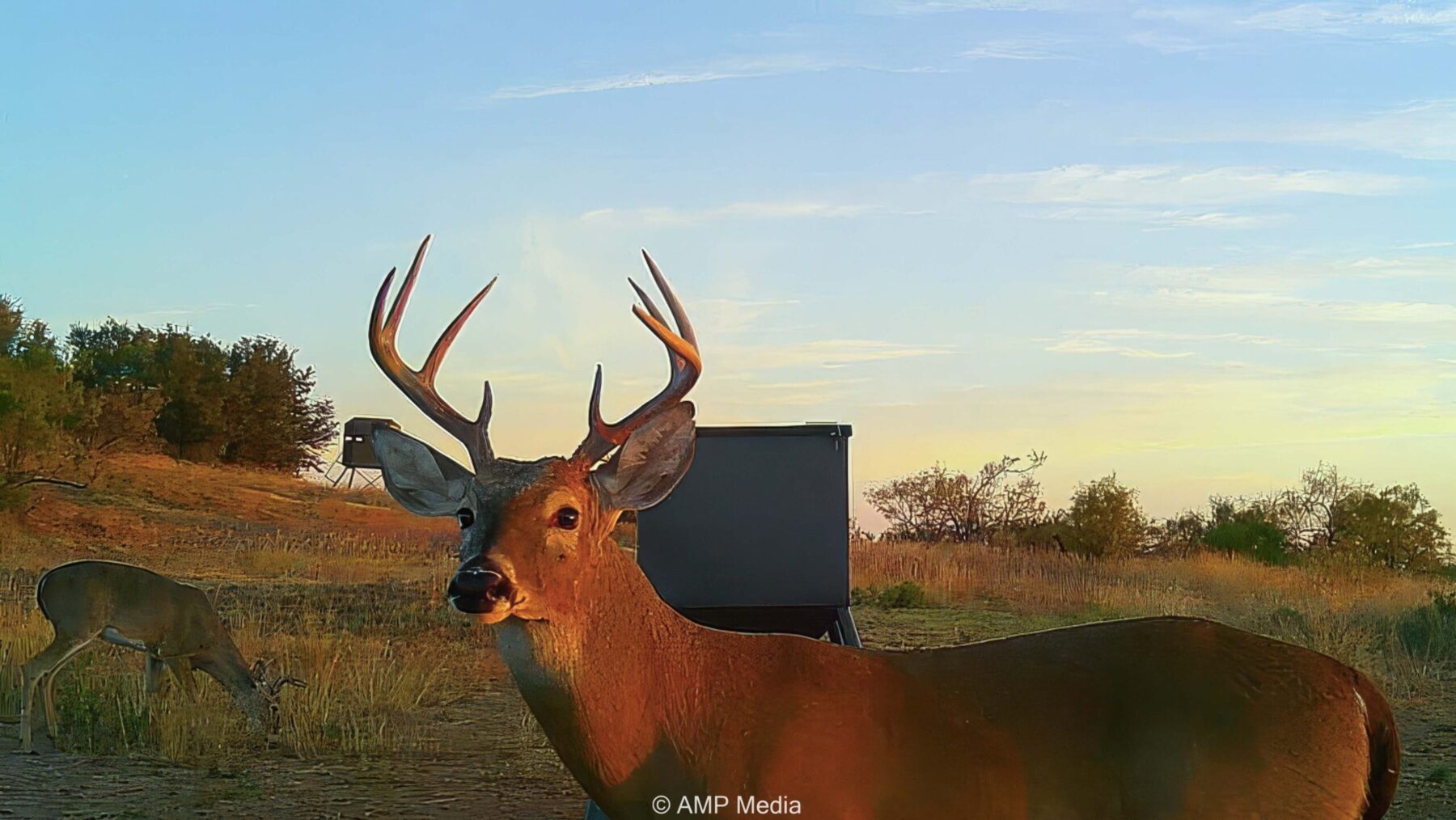 Property Photo 18 Property photograph 18