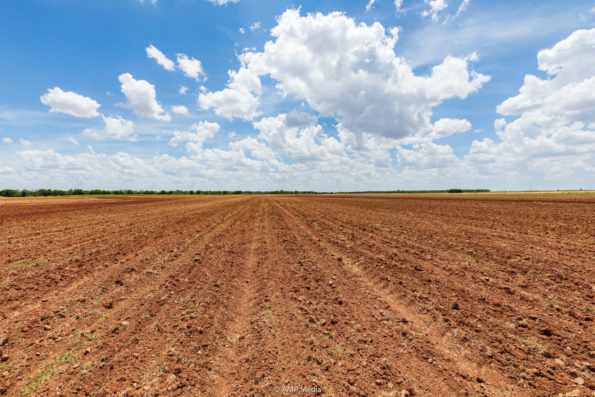 Top Factors to Consider When Buying Agricultural Land Brown field under a blue sky