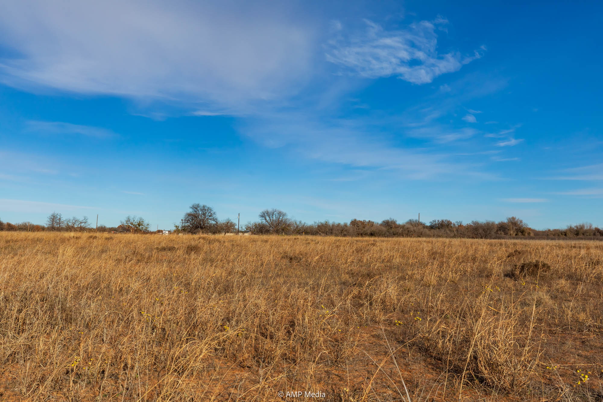 Property Photo 19 Property photograph 19