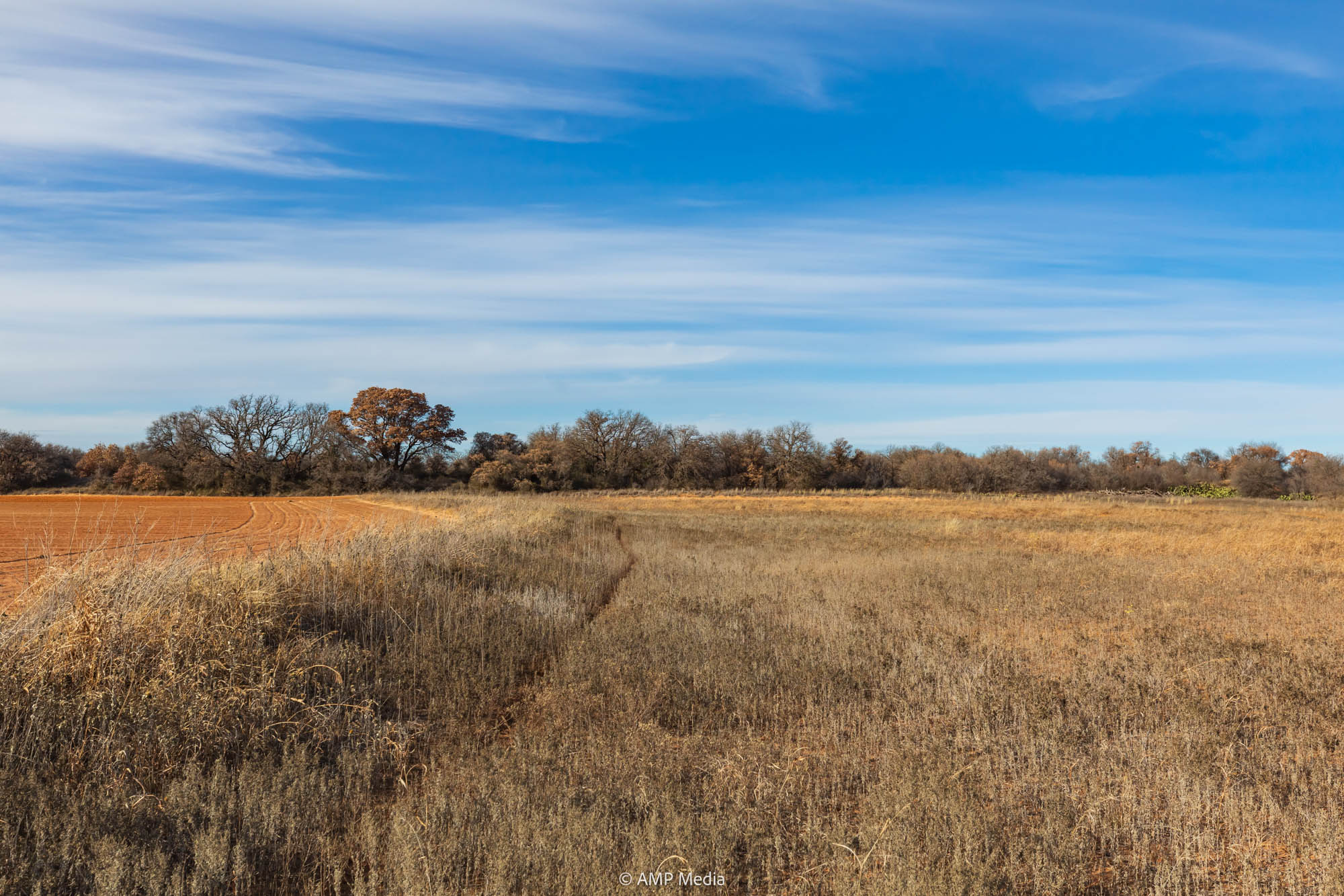 Property Photo 24 Property photograph 24