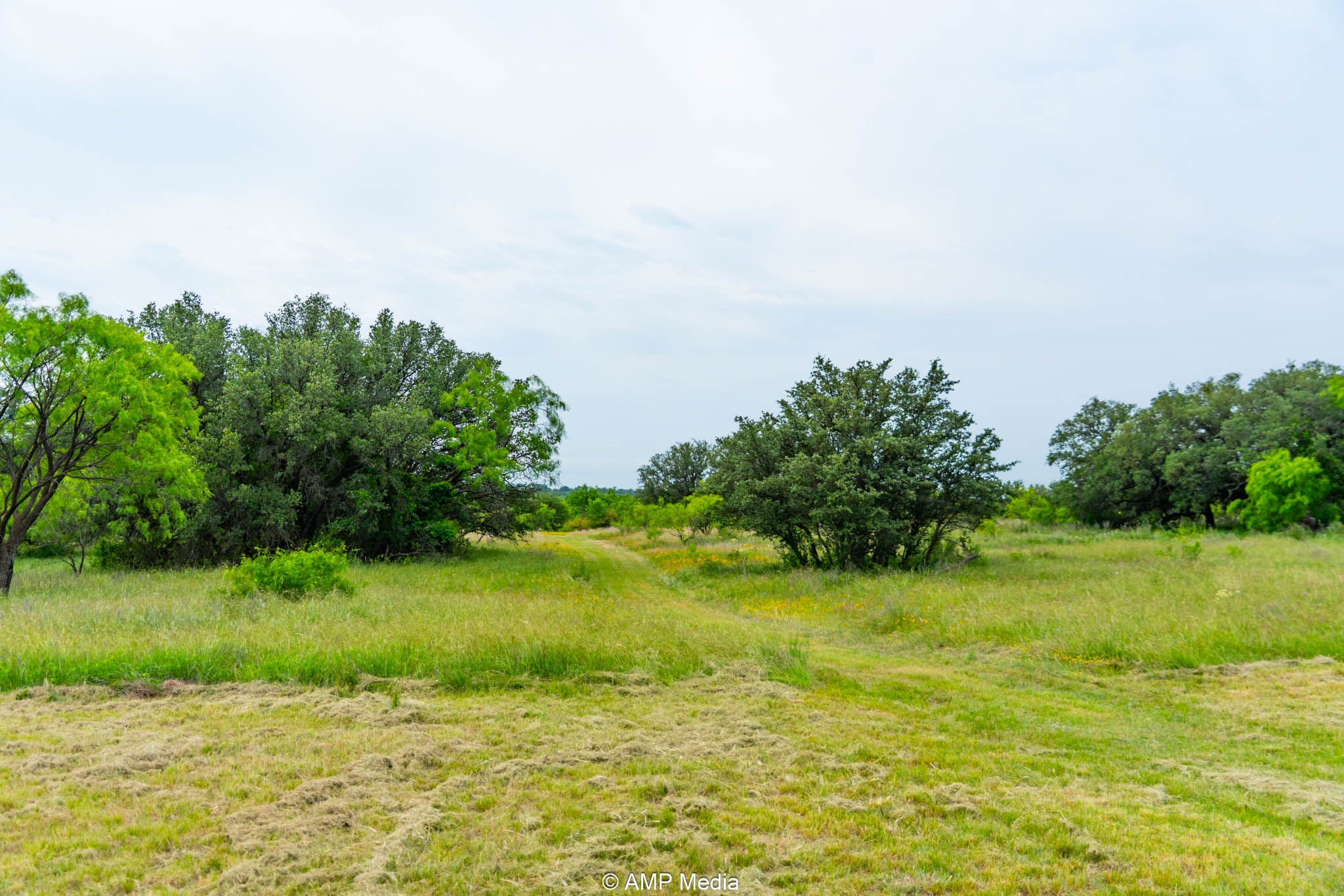 Property Photo 26 Property photograph 26