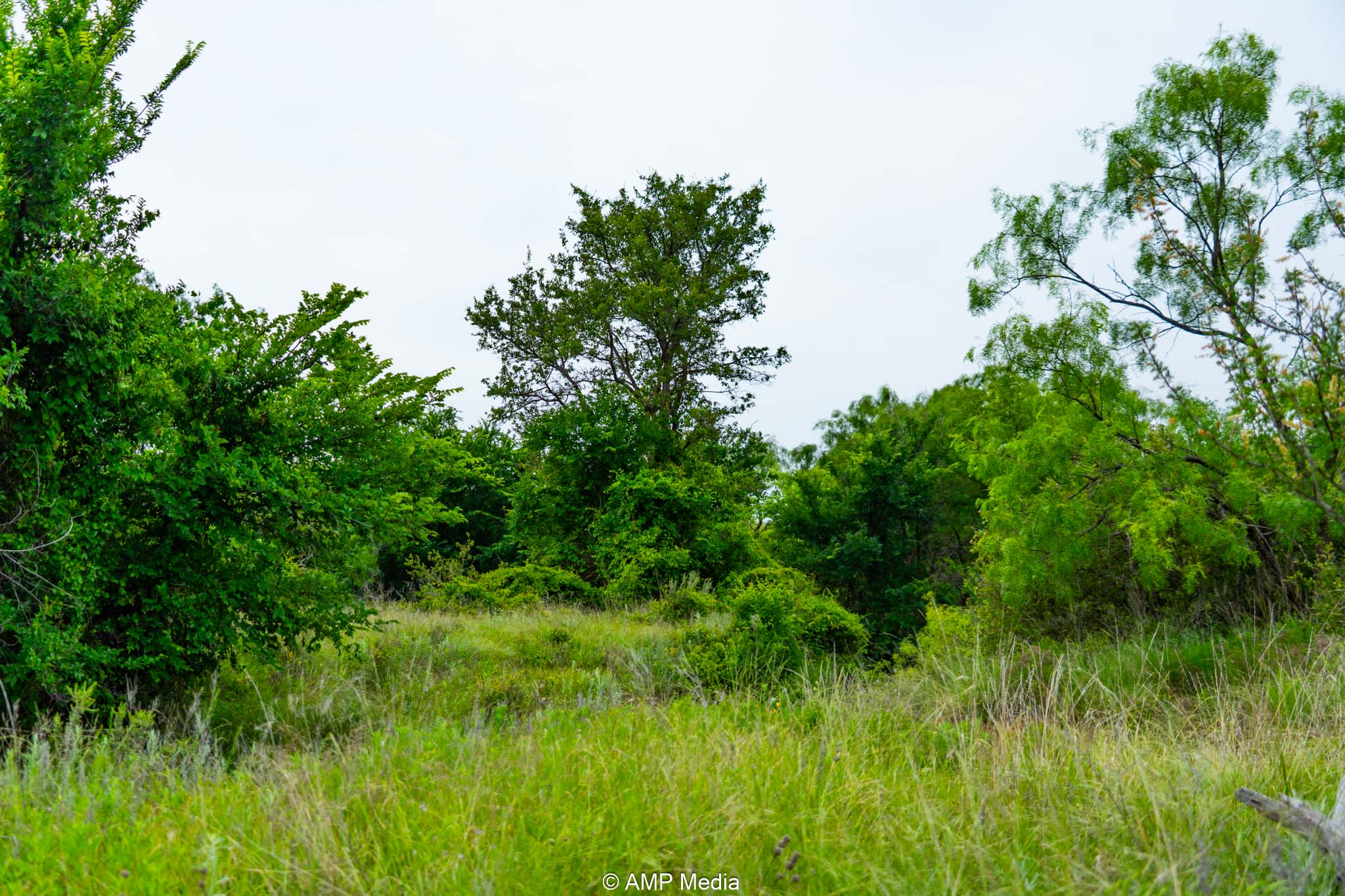 Property Photo 29 Property photograph 29