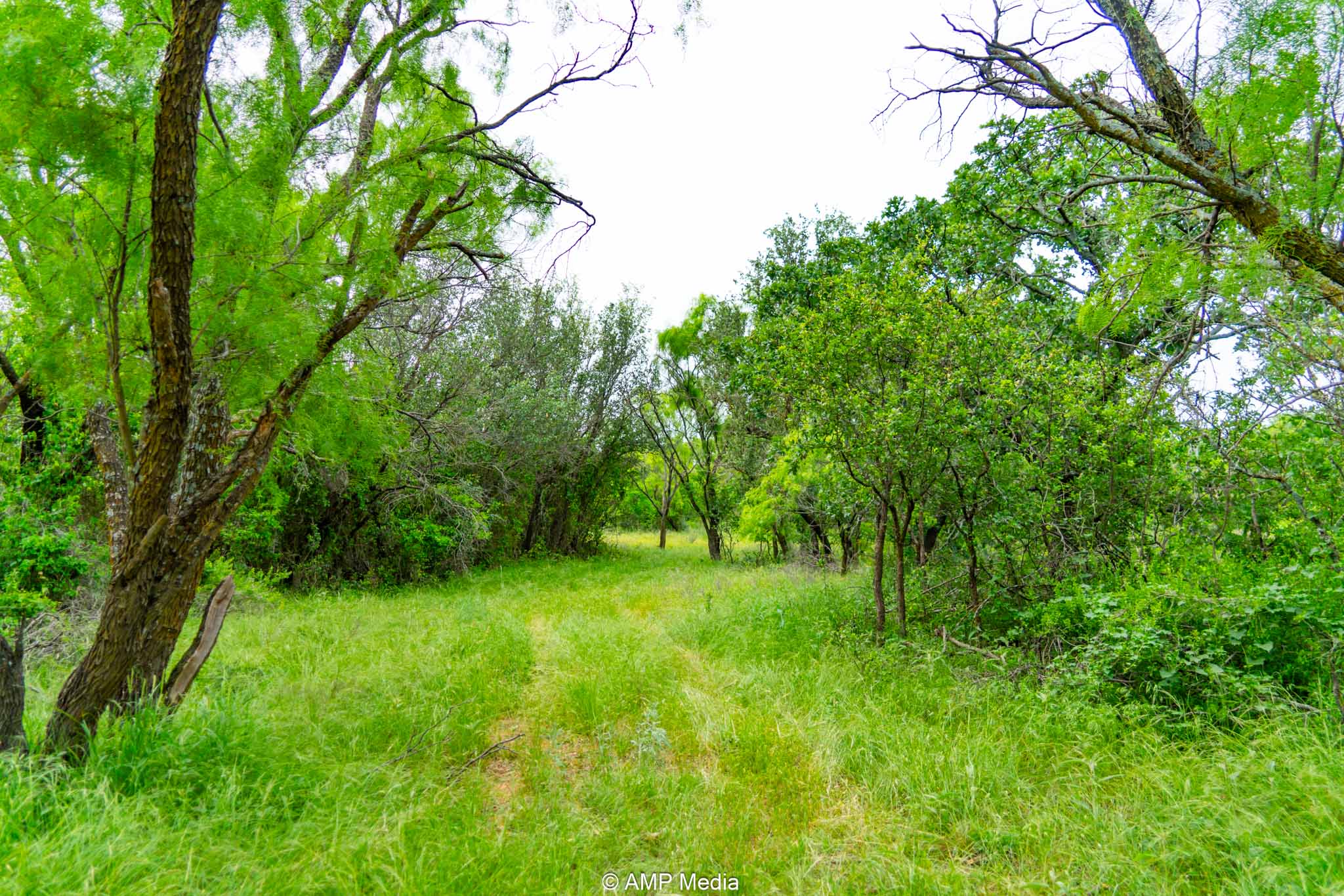 Property Photo 33 Property photograph 33