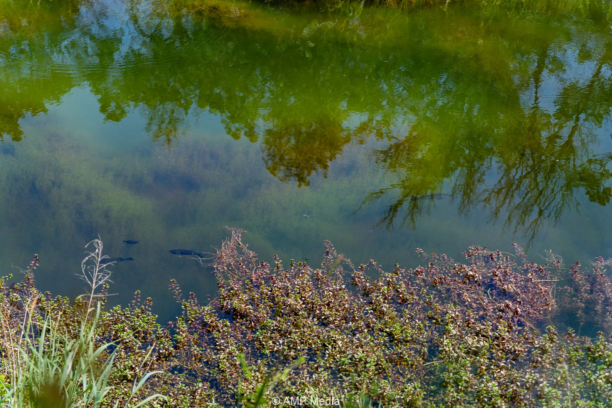 Property Photo 38 Property photograph 38