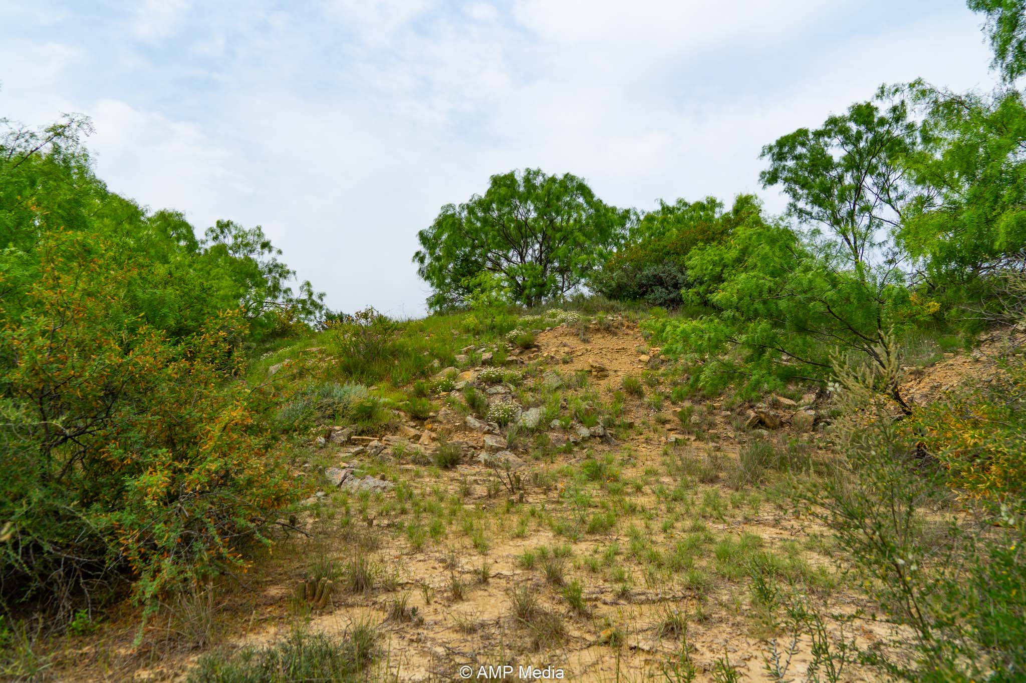 Property Photo 40 Property photograph 40