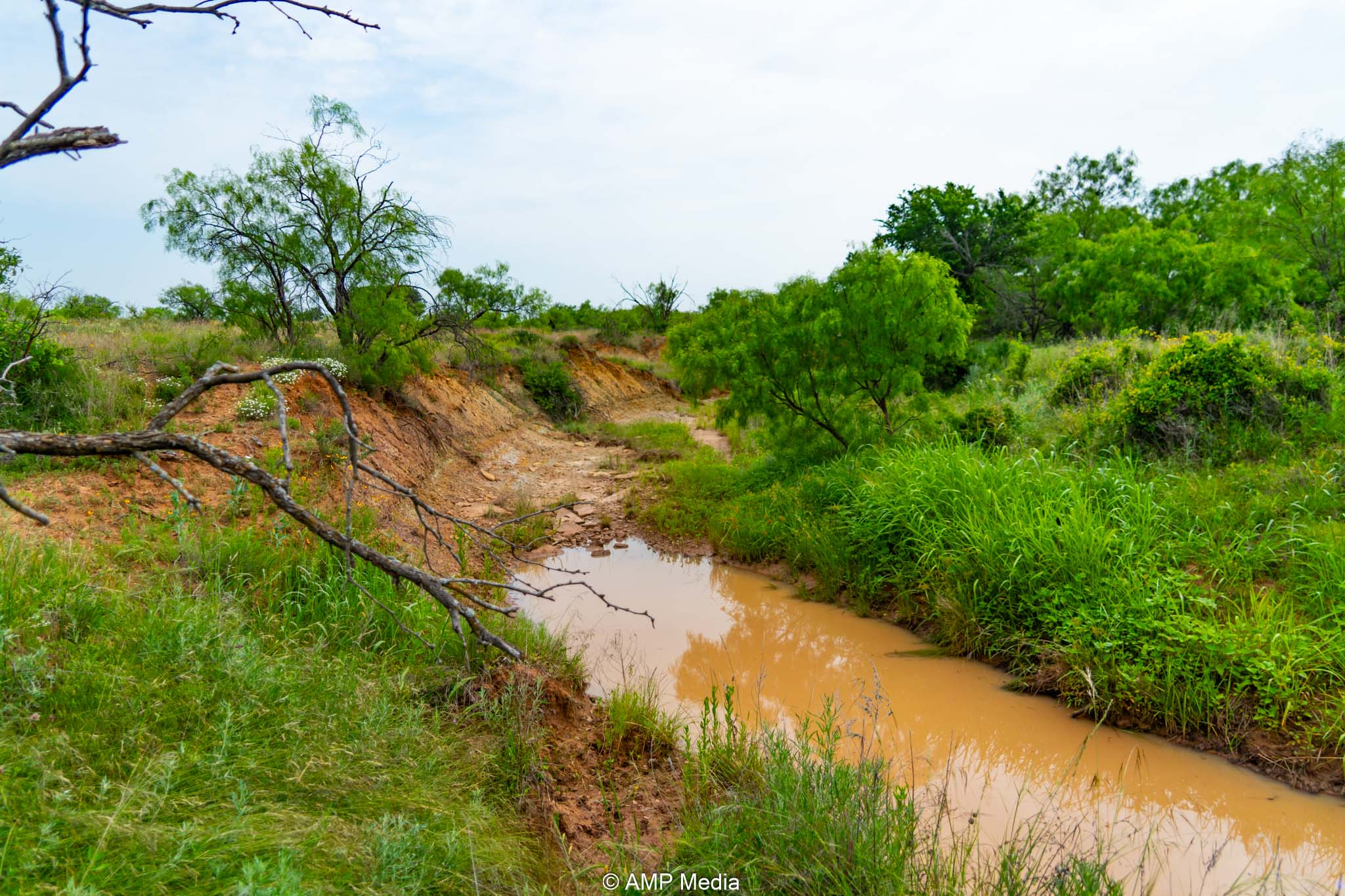 Property Photo 41 Property photograph 41
