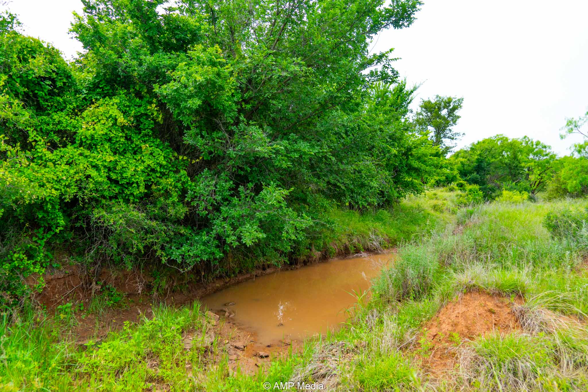 Property Photo 42 Property photograph 42