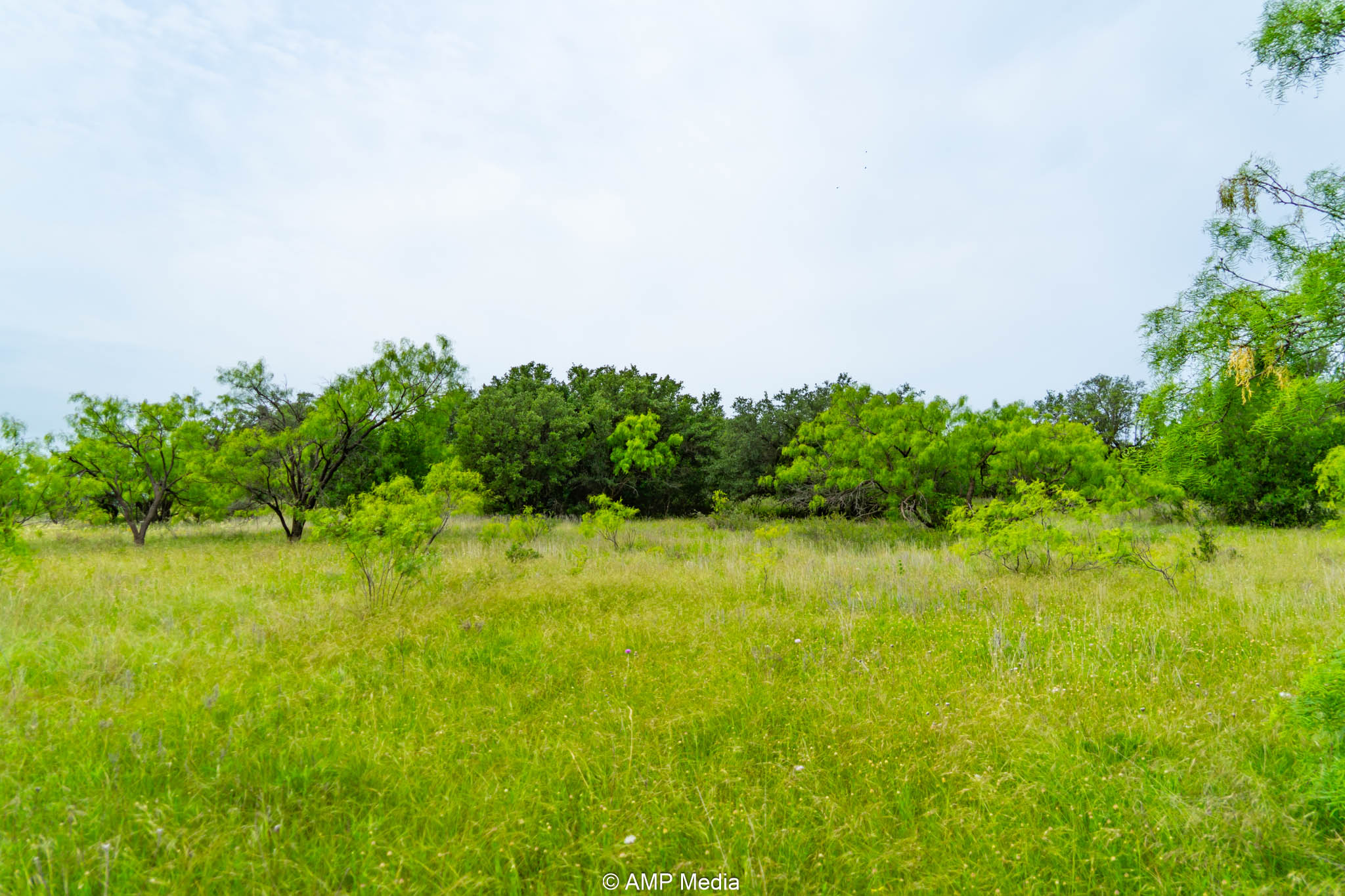 Property Photo 43 Property photograph 43