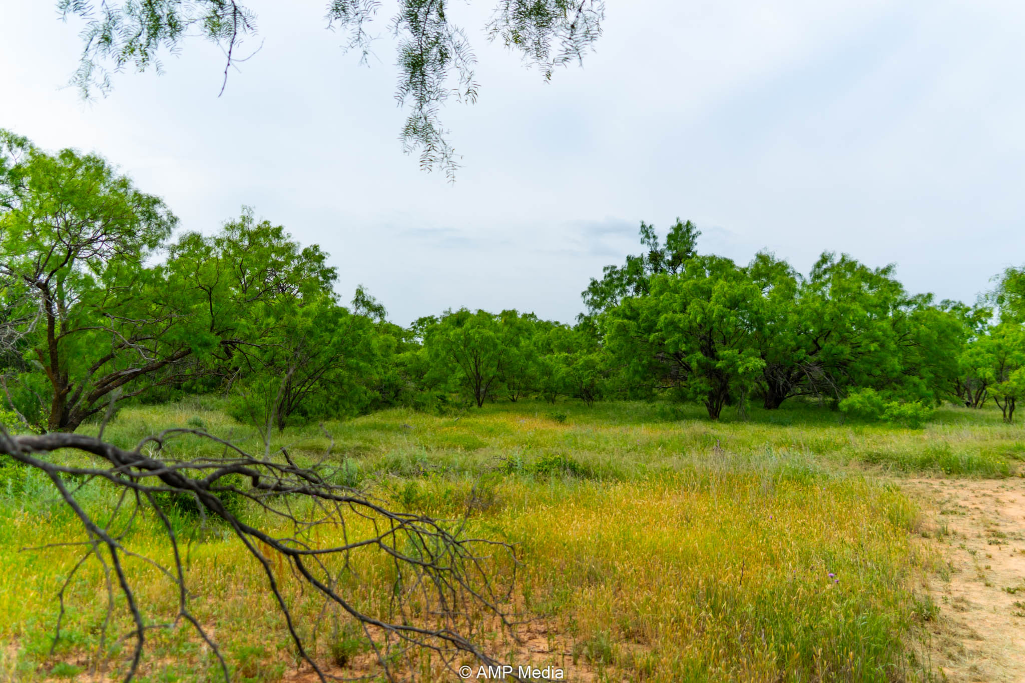 Property Photo 44 Property photograph 44