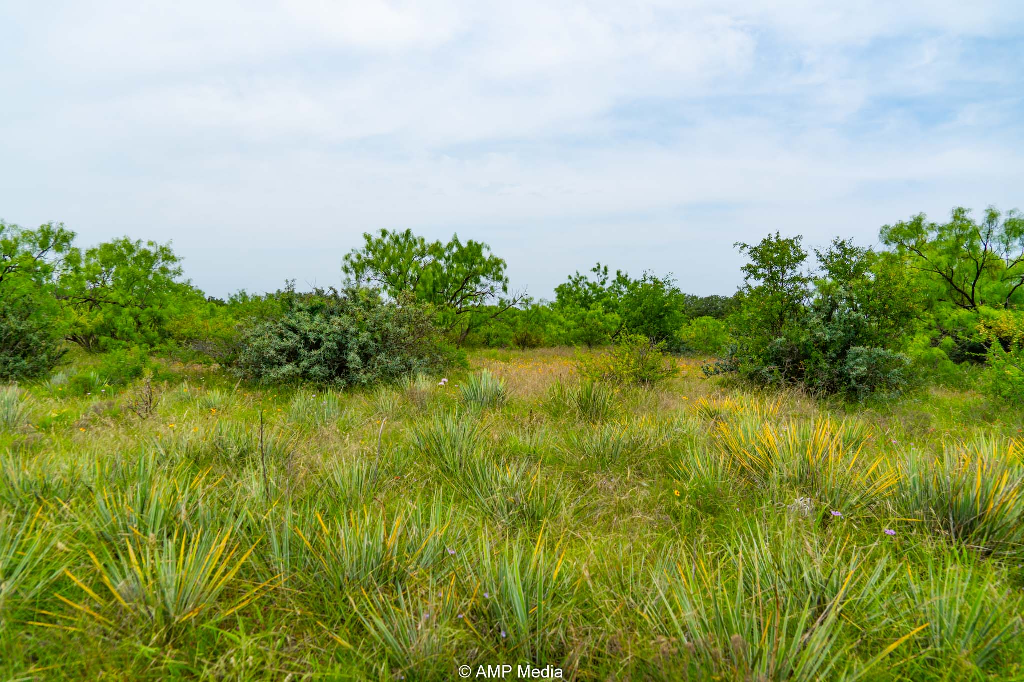 Property Photo 45 Property photograph 45