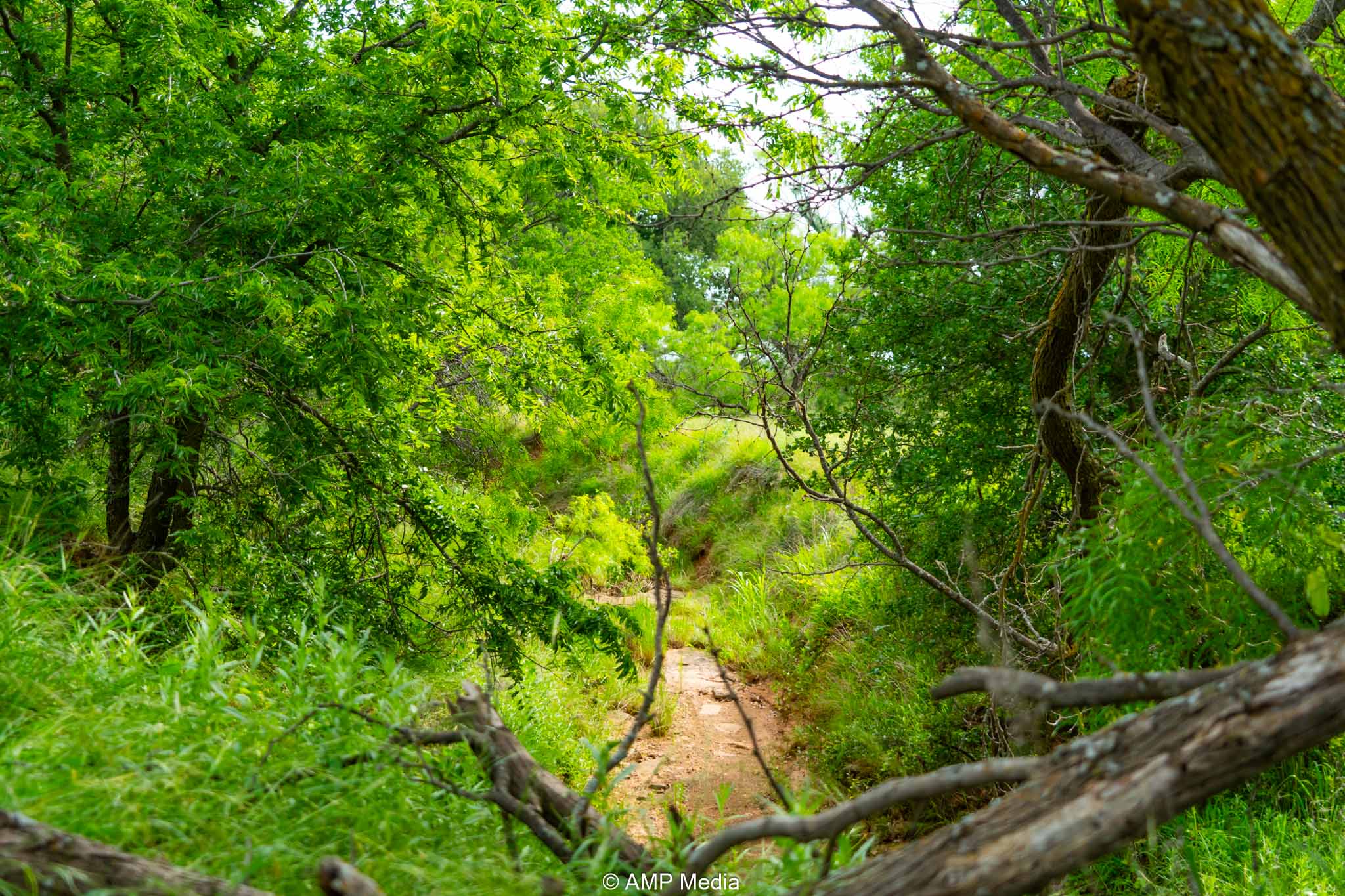 Property Photo 48 Property photograph 48