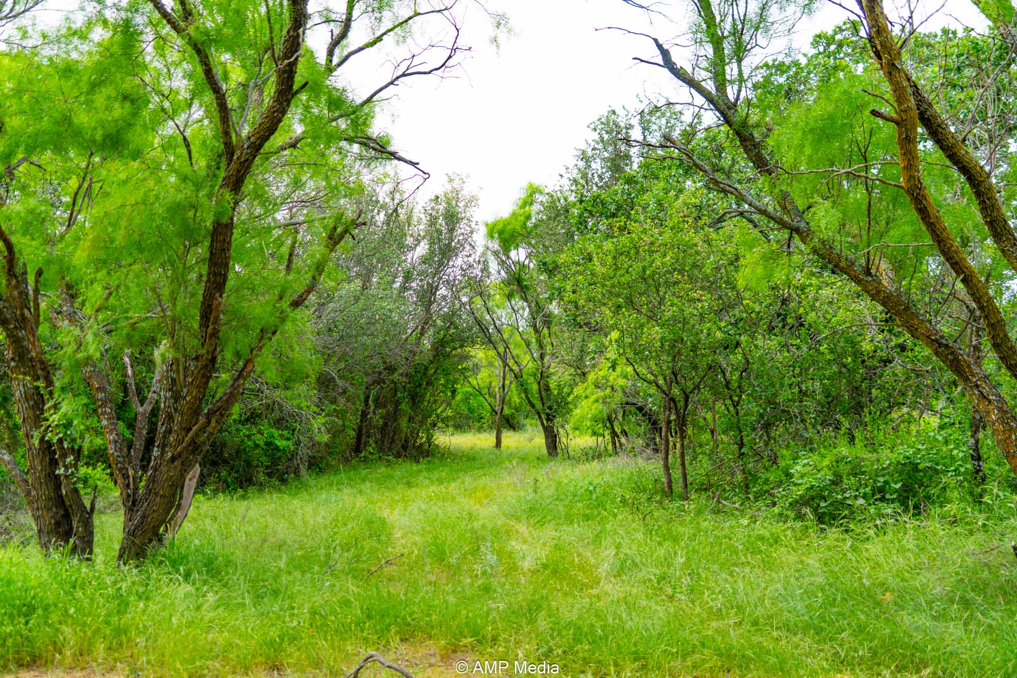 Property Photo 07 Property photograph 07