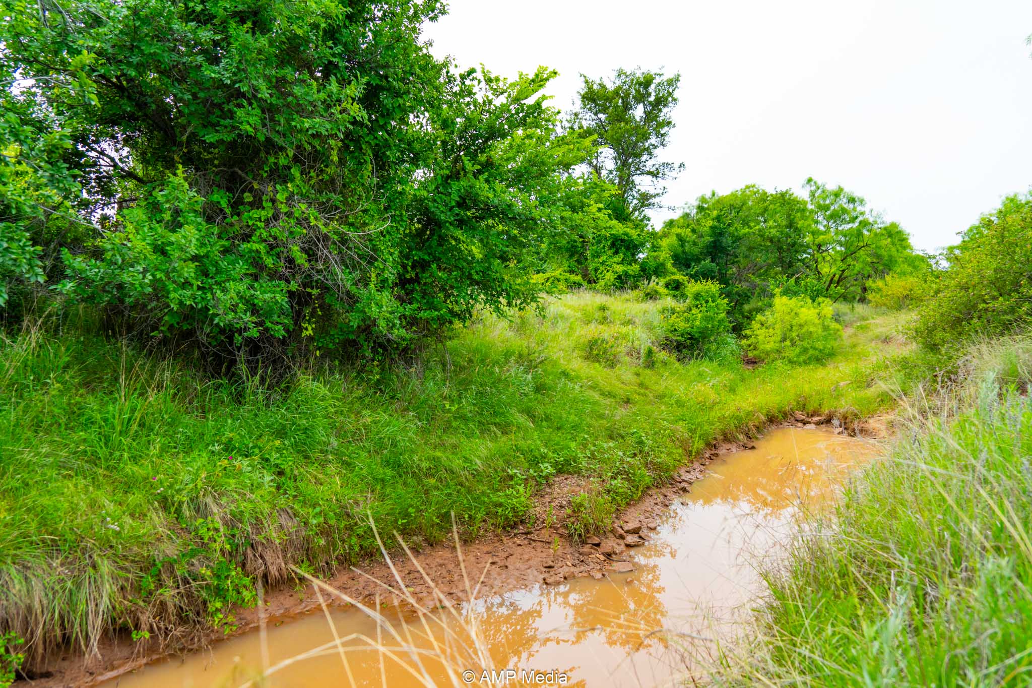 Property Photo 08 Property photograph 08