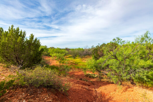 Property photograph 01