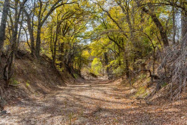 Property photograph 01