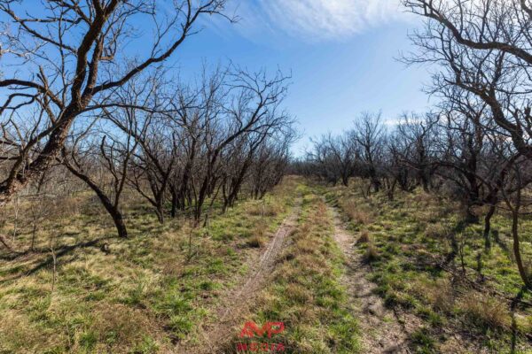 Property photograph 01