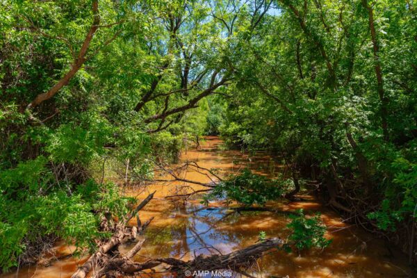 Property photograph 01