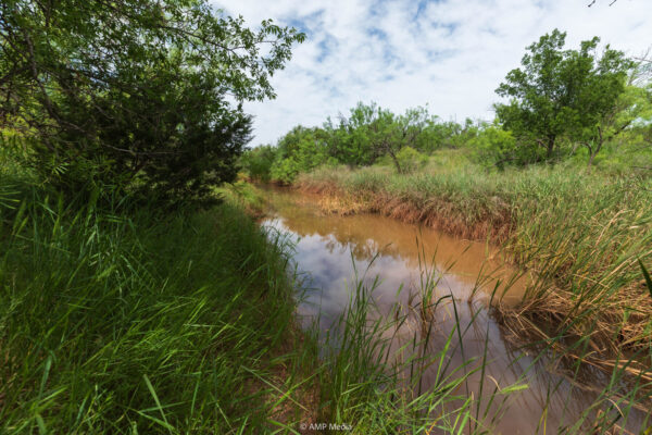 Property photograph 01