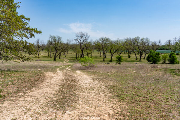 Property photograph 01