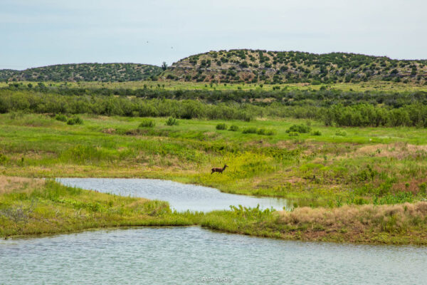 Property photograph 01