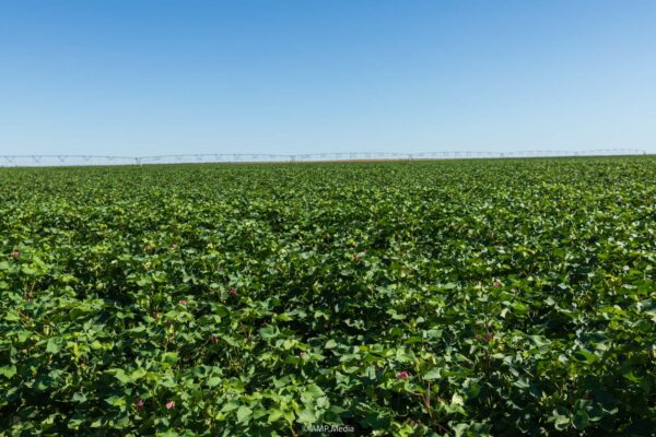 Property photograph 01