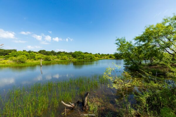 Property photograph 01