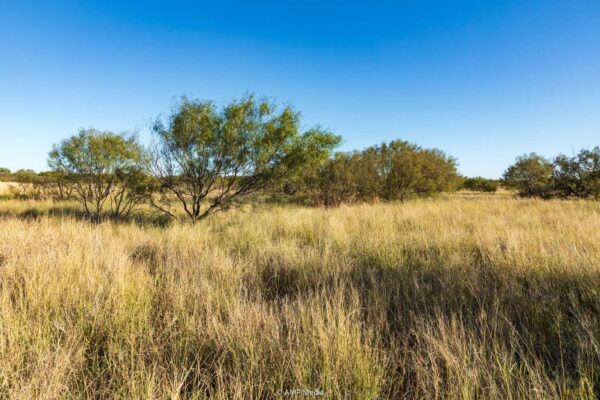 Property photograph 01