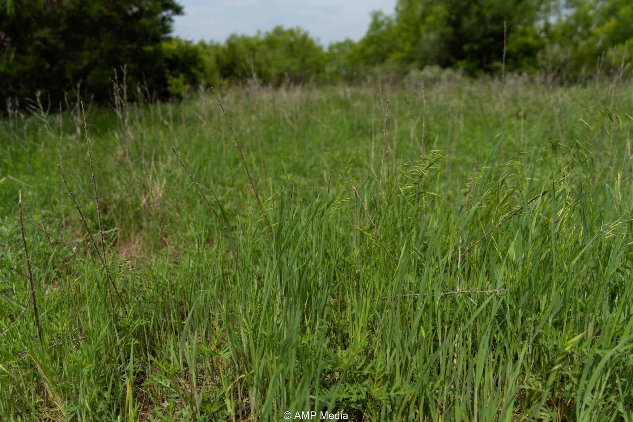 Property Photo 01 Property photograph 01