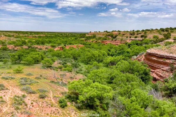 Property photograph 01