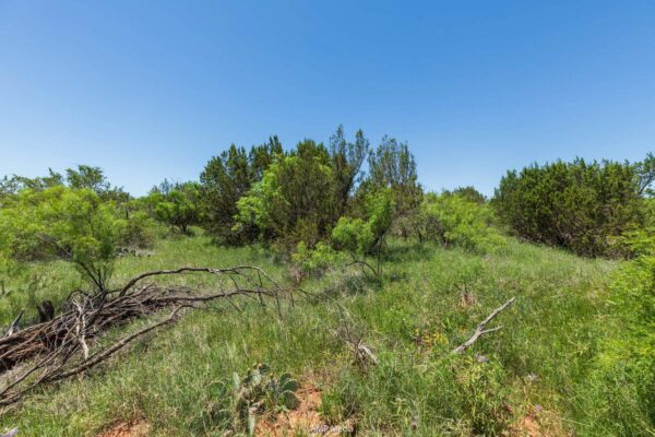 Property photograph 01