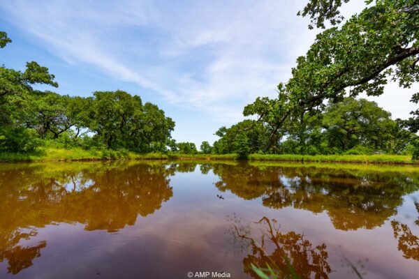 Property photograph 01