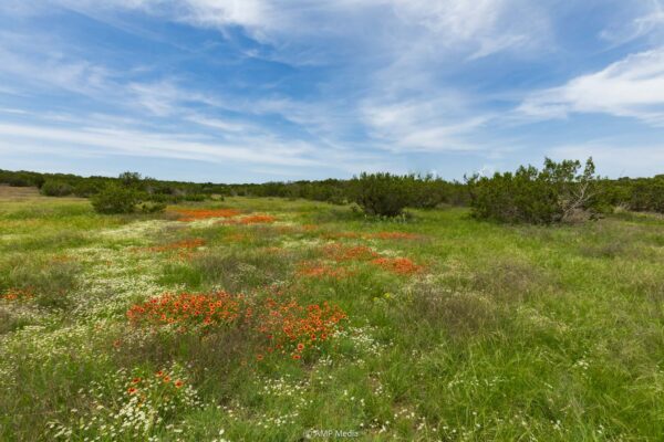 Property photograph 01