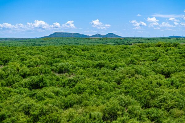 Property photograph 01