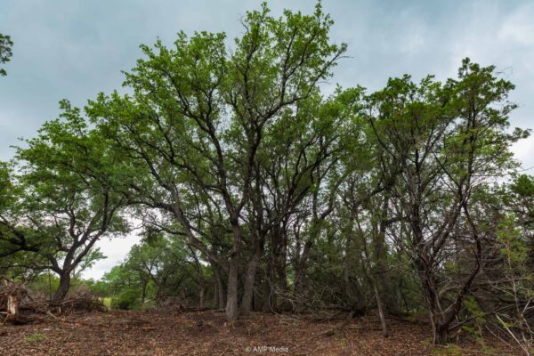 Property photograph 01