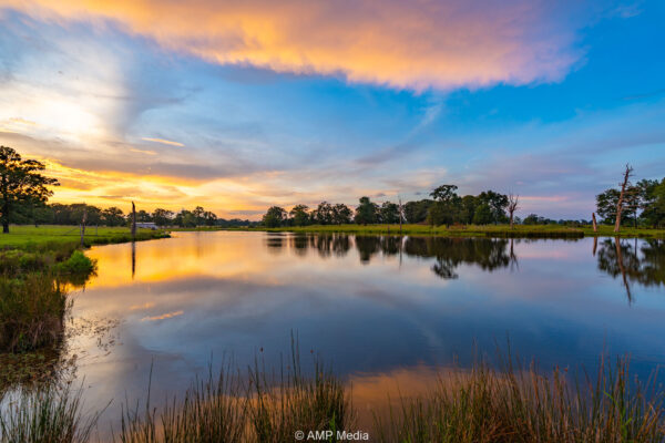 Property photograph 01