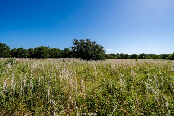 Property photograph 01