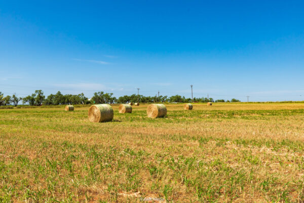 Property photograph 01