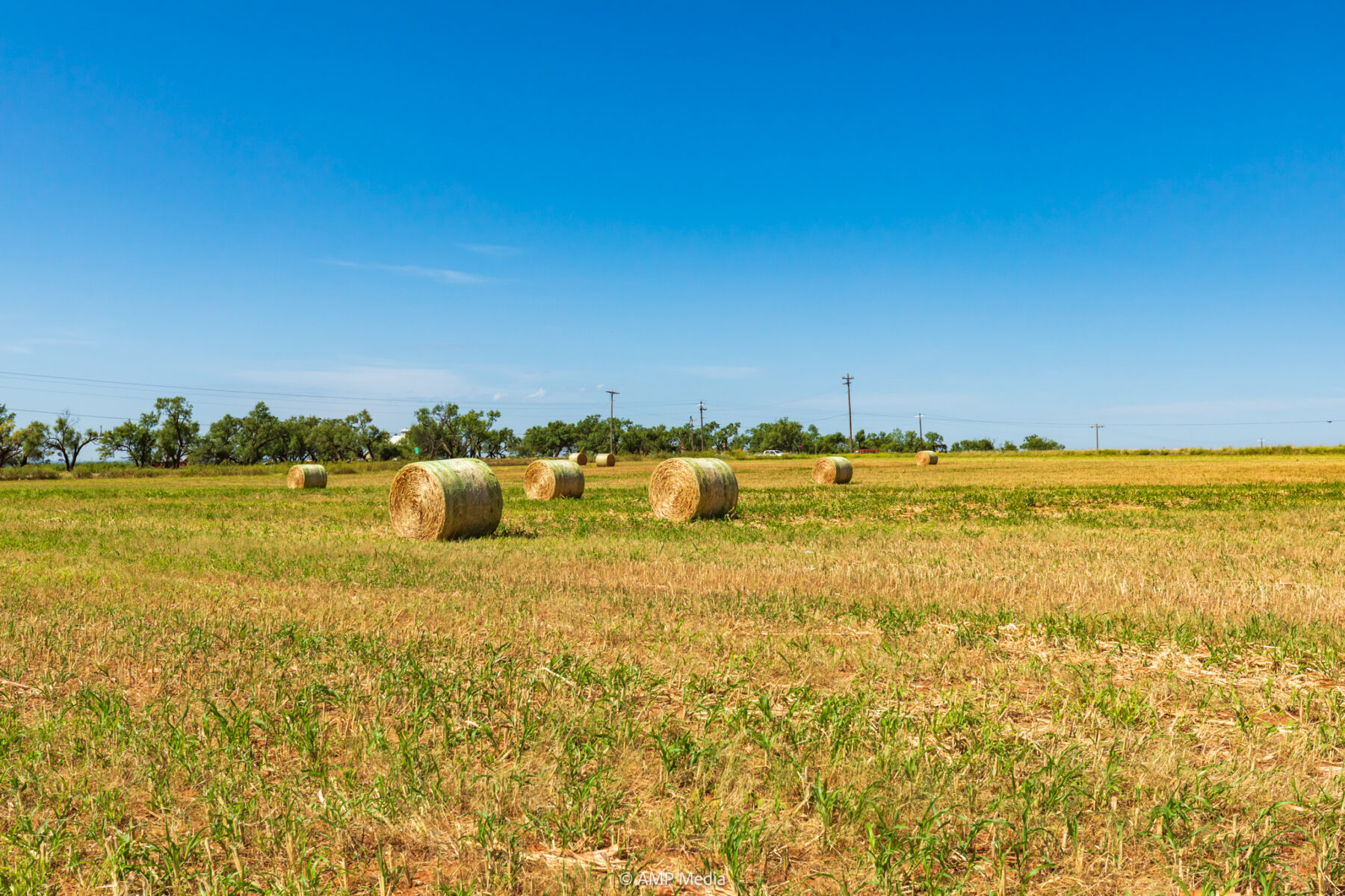Property Photo 01 Property photograph 01