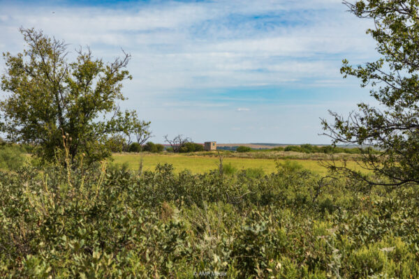 Property photograph 01