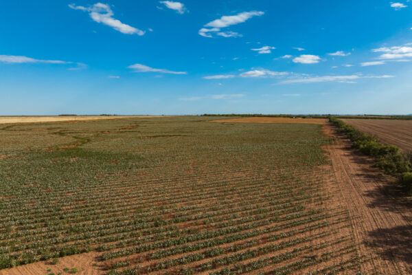 Property photograph 01