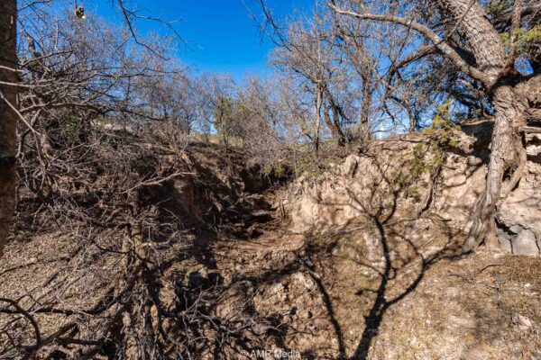 Property photograph 01