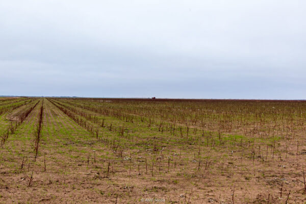 Property photograph 01